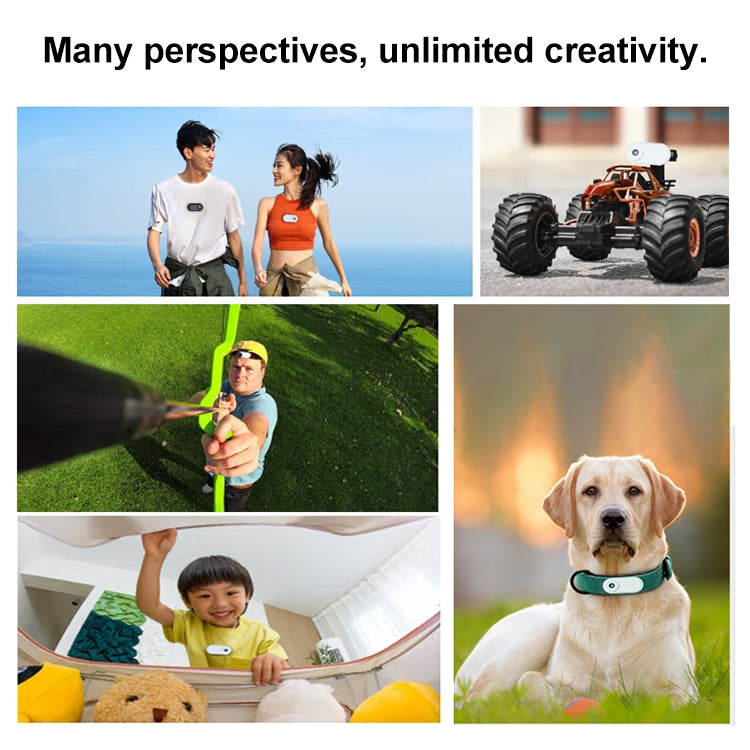 DCA1052_B5.jpg@243abf23d3b0a7121958943f4214e315