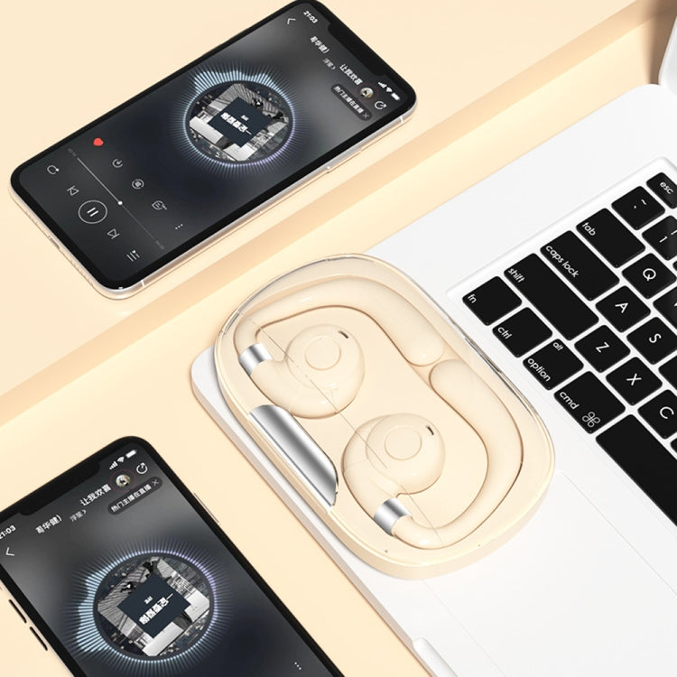 HF02 Ear Clip Bone Conduction TWS Noise Reduction Bluetooth Earphone(Black) by bashfashion