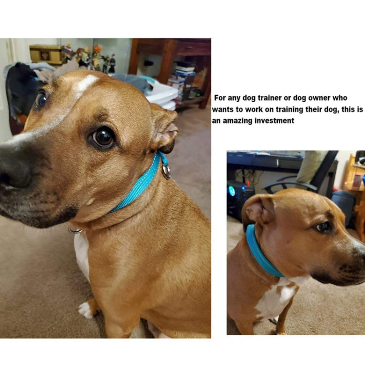 Nylon Reflective Filament P Chain Adjustable Size Collar(Black) by bashfashion