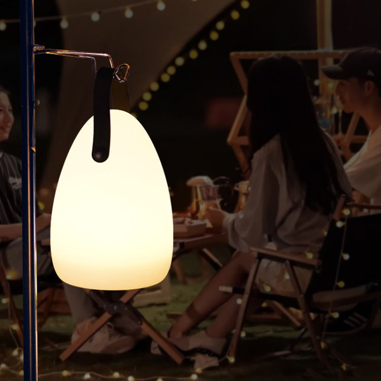 16 Colors LED Night Light with Handle Hanging Lantern USB Rechargeable Table Lamp(Egg-shaped) by bashfashion