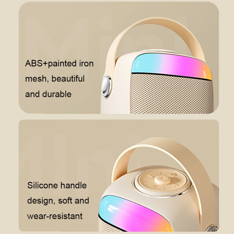 Havit P1 Portable Singing Home Wireless Bluetooth Speaker Microphone Set, Style: Dual-microphone by Havit