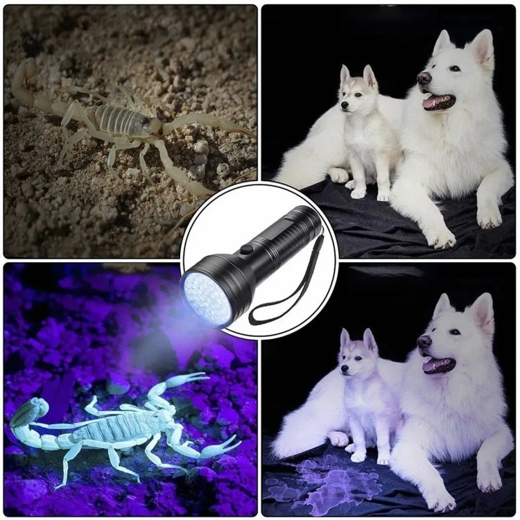 51 LEDs 395nm UV LED Flashlight, Support Detect Pet Urine by YWX LIGHT