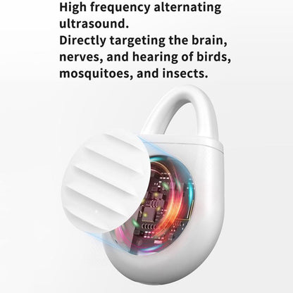 EDA0080869_B3.jpg@86cc0e08d604603d6b1bb09189a540d8