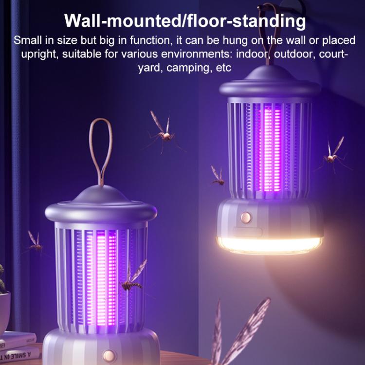 EDA0083246_B1.jpg@37809ee06ce7df575038bafaf7d06d76