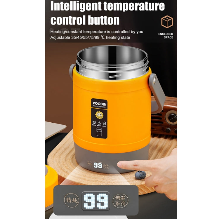 2.0L 304 Food Grade Insulated Lunch Box Electric Thermostat Lunch Bucket, CN Plug, Color: Temperature Display Beige Power Cord/Car Wire by bashfashion